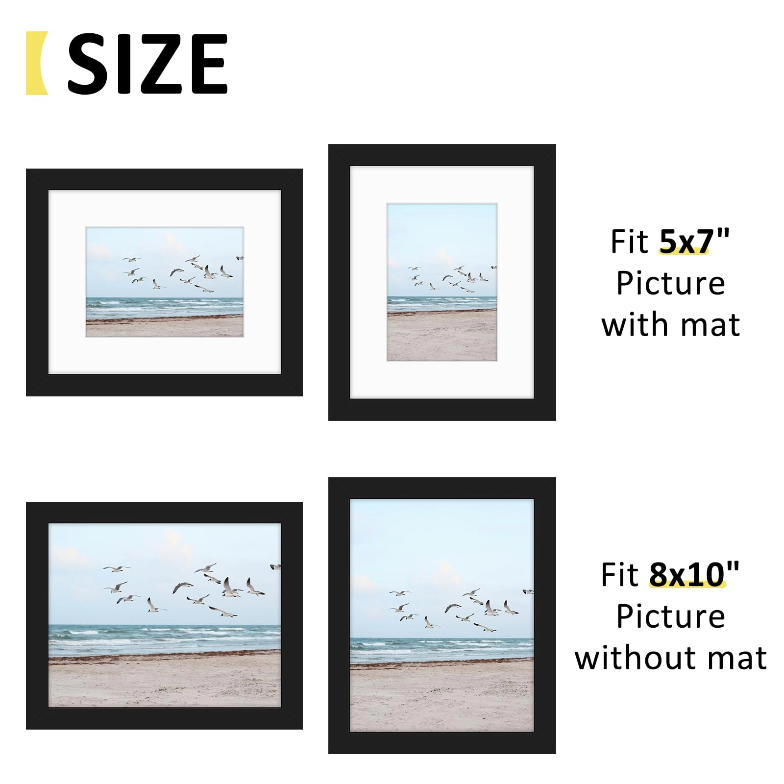 Single Picture Frame - 8x10 1