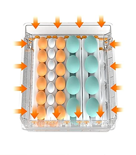 Egg Incubator - 48 Eggs Fully Automatic