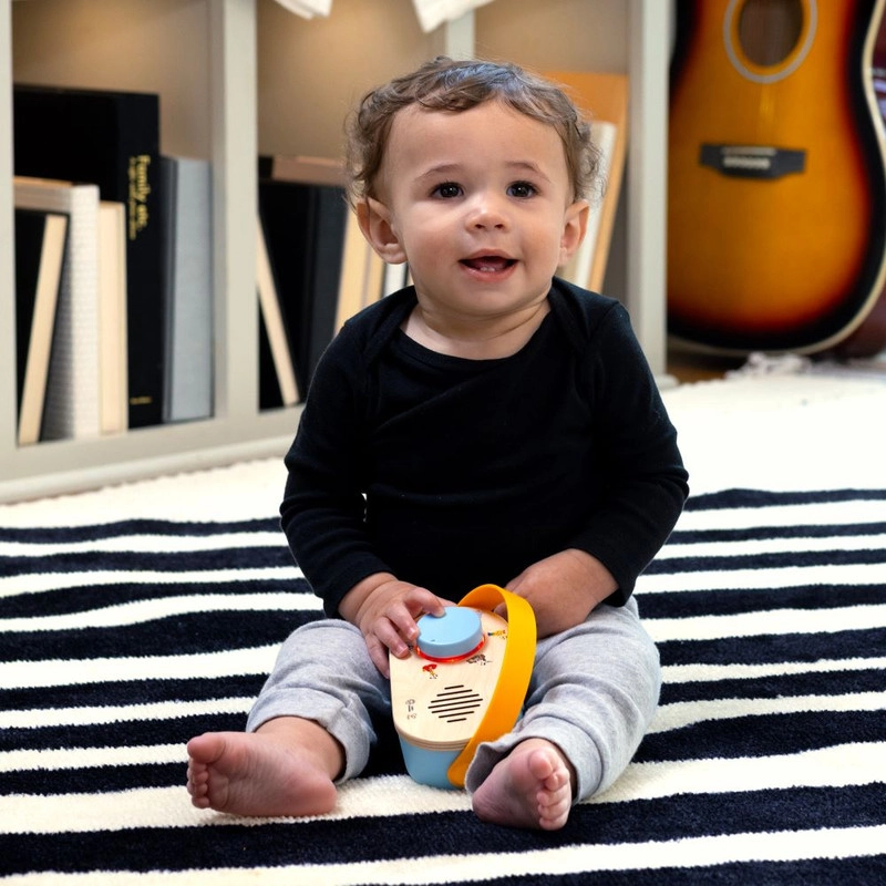 Discovery Toy Radio - Suitable for 6 months & above 58% Plastic, 39% Wood, 3% Electronic Parts.