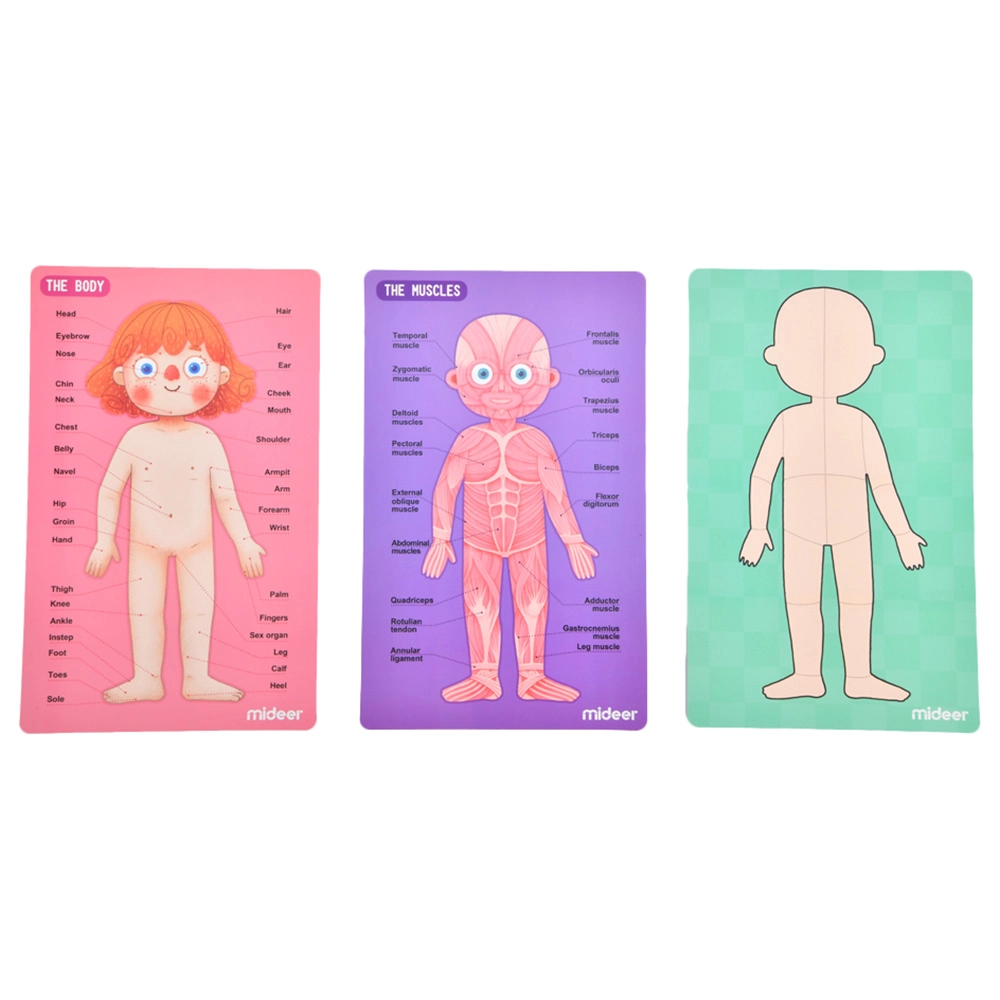 Body Magnetic Puzzle (TOP-CT7013) - 90 pcs
