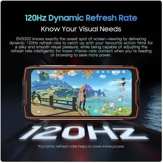 BV9300 Pro - 24GB 256GB