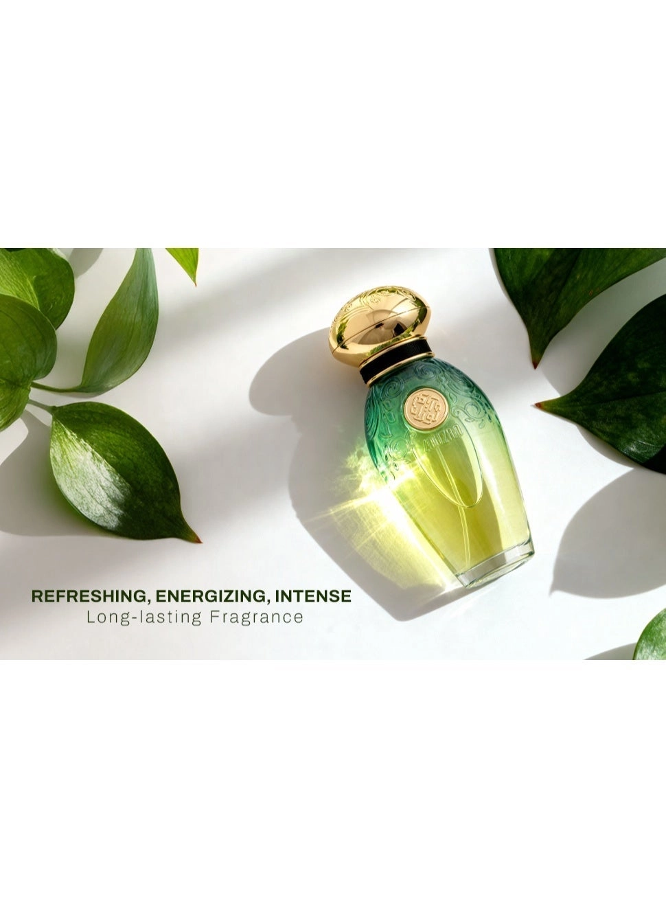 Aasir Eau de Parfum 50 ml