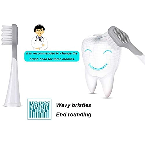 Electric Toothbrush - 3 Modes 4 Brush Heads IPX7 Waterproof