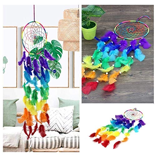 Dreamcatcher - Siderosphere, feathers, lines, wood beads.