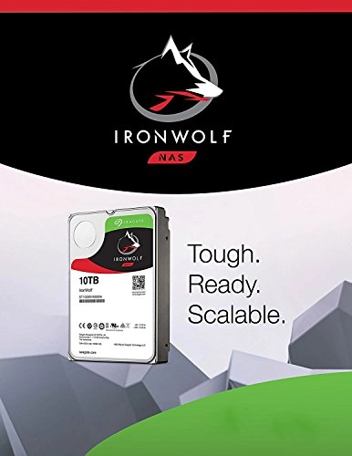 IronWolf SATA 256MB (ST10000VN0004) - 10Tb