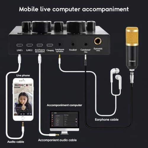 Z346 Professional Condenser Microphone Wired Microphone + V8 Live Sound Card