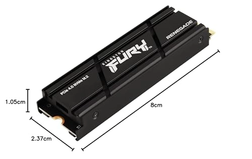 FURY Renegade - 1000GB M 2