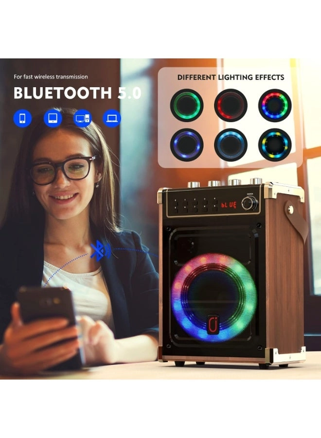 Karaoke machine - 2 wireless microphone