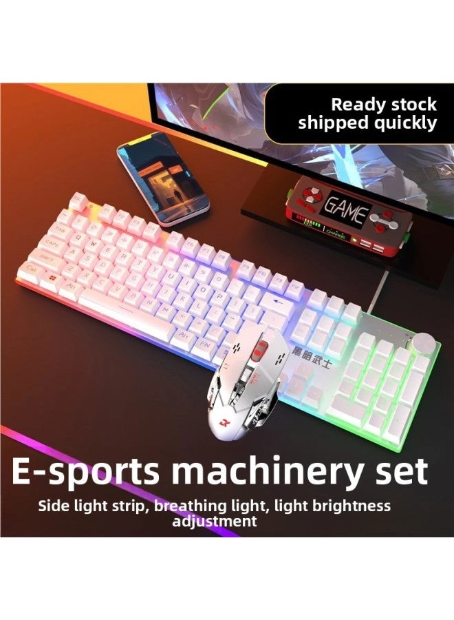 Mechanical Feel - Wired + E-sports Mouse