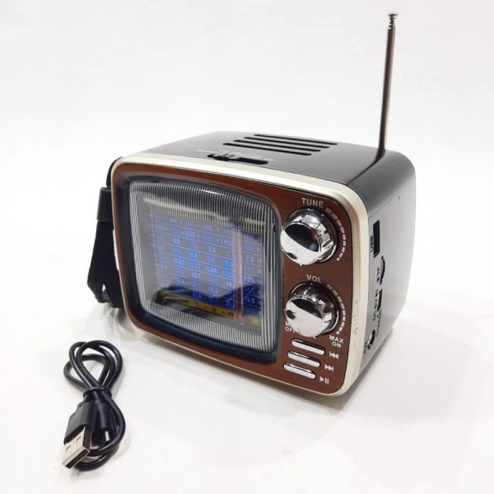 Portable Bluetooth Radio