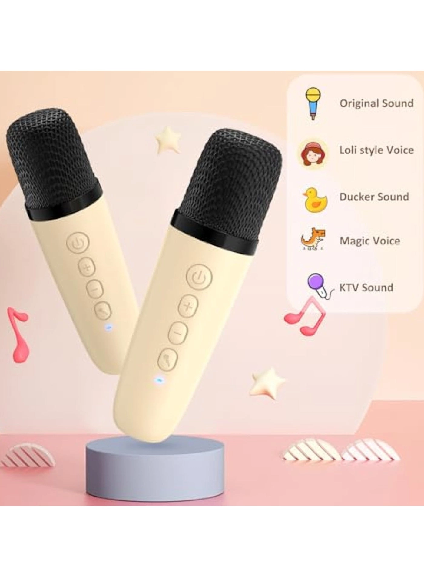 Karaoke Machine - 2 Wireless Microphones 10W