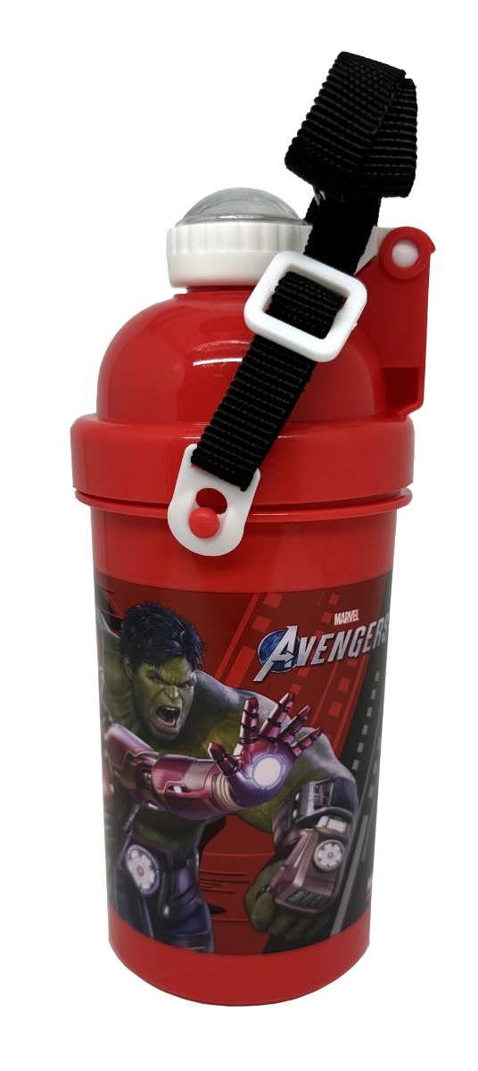 Gamer Verse Water Bottle - 500 ml