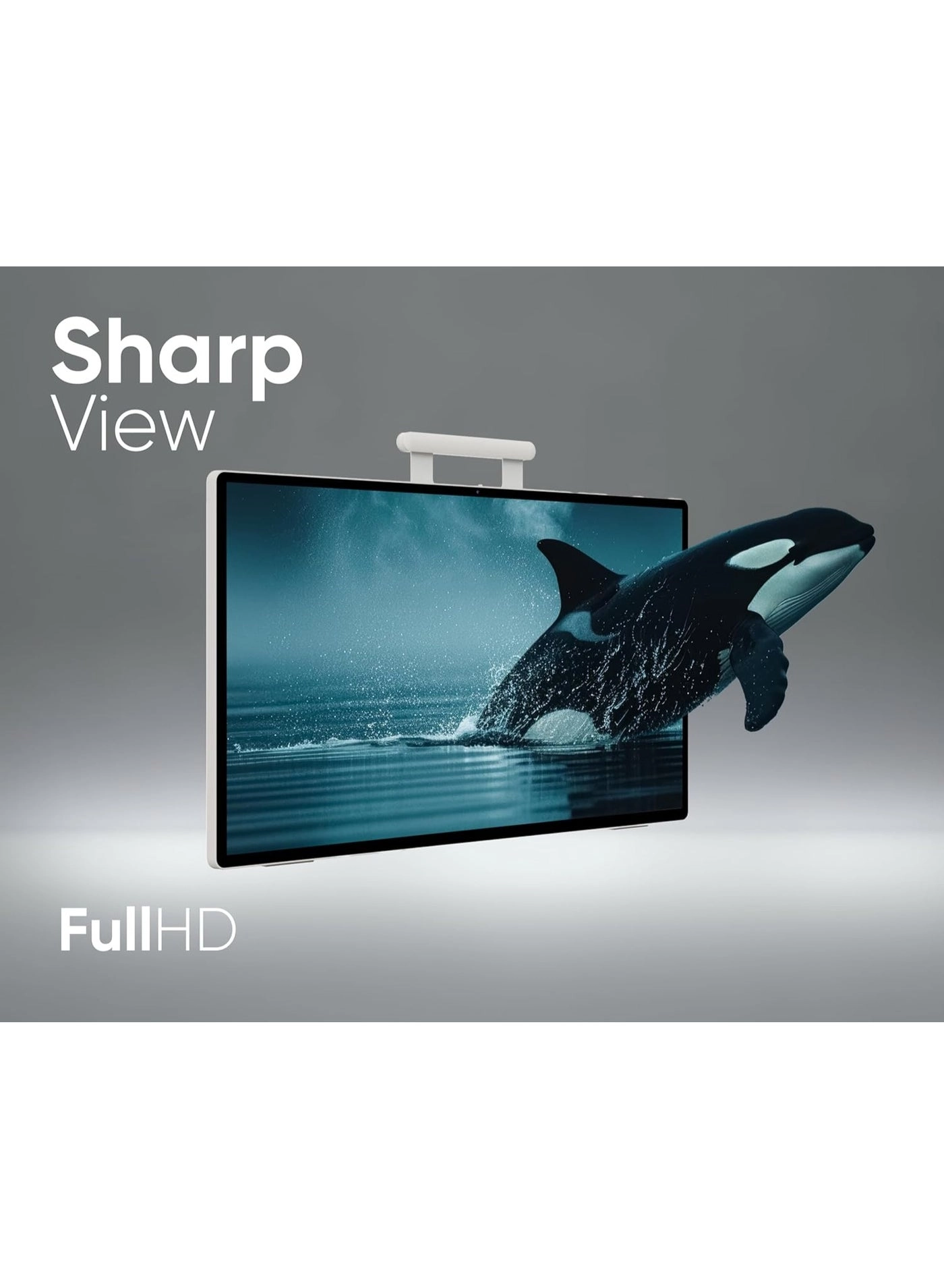 G25EEF1TN60 - Full HD 24.5"