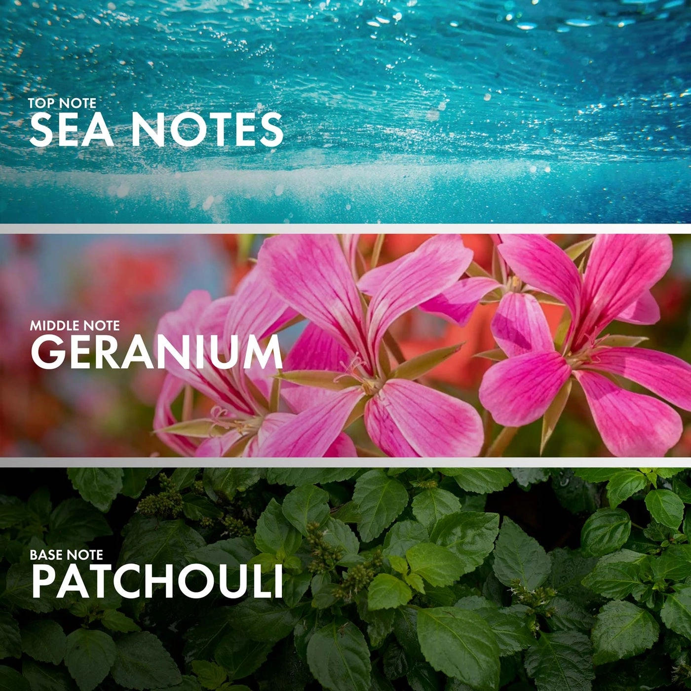 Lemon Geranium Eau de Parfum 50ml