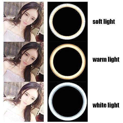 LED Light - 10 inch 3 Lighting Modes Selfie Fill Light