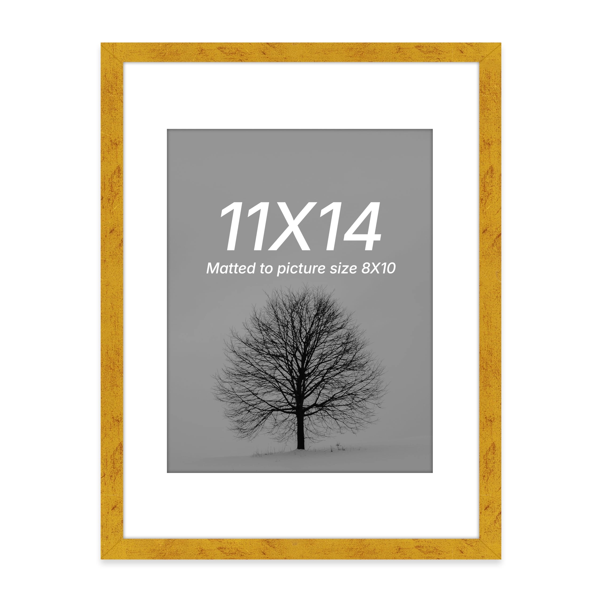 Document Frame - 11x14 Inch