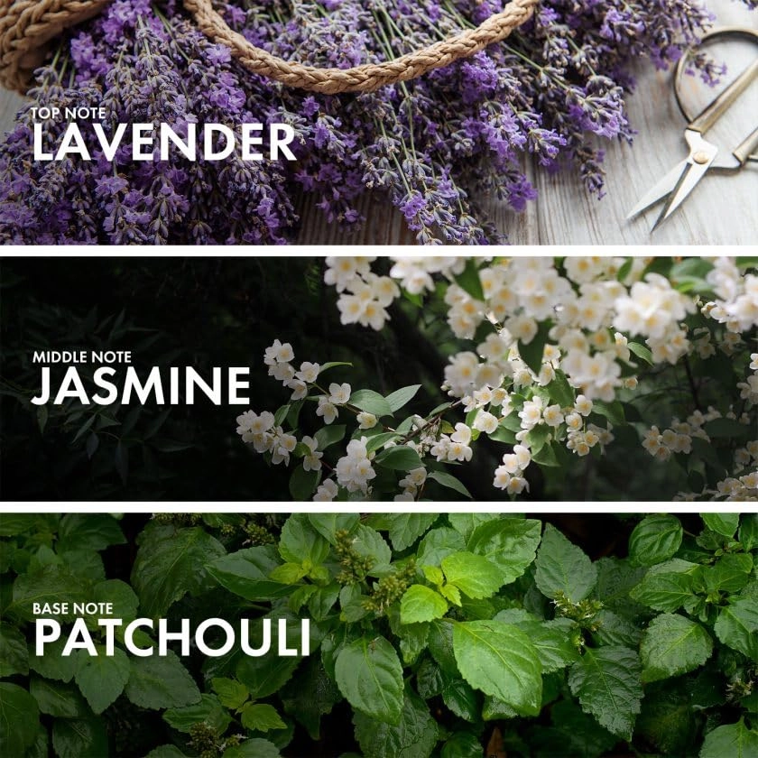 Aromatic Jasmine - Eau de Parfum 50 ml