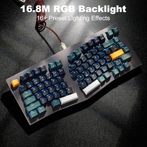 F2 Alice83 - AL Wired/Wireless