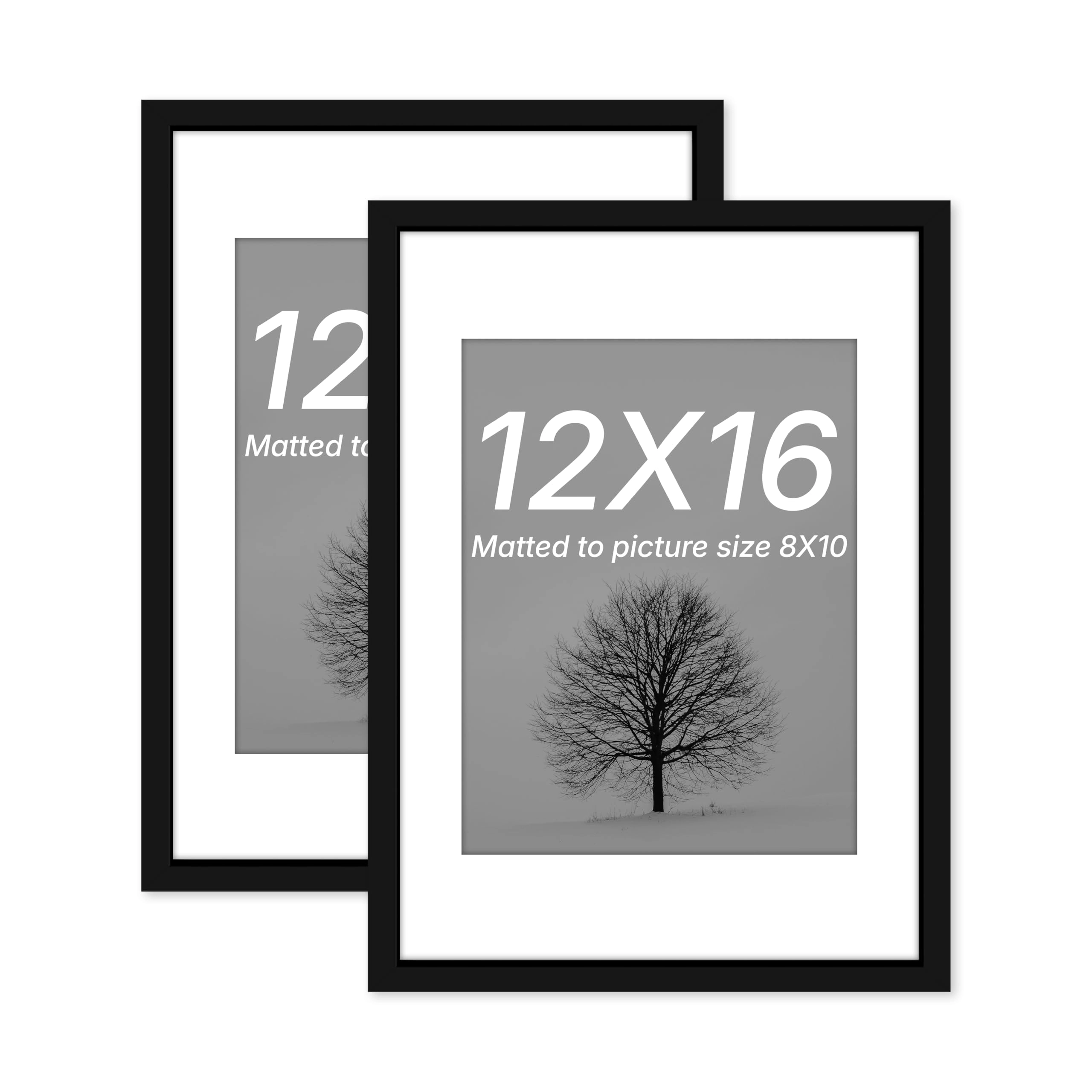 Document Frame - 12x16 Inch