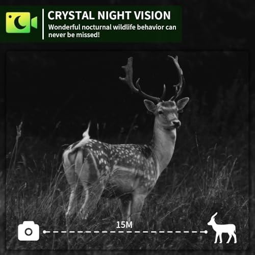 Trail Camera - 64MP