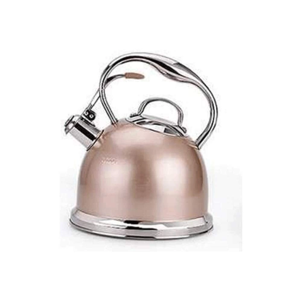 Tea Kettle - Stainless steel