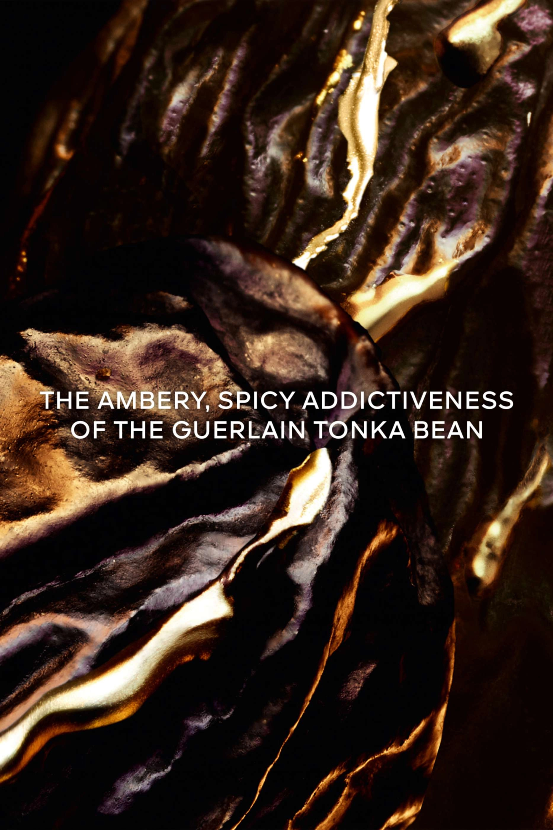 Tonka Sarrapia Extrait 75 Eau de Parfum 50ml