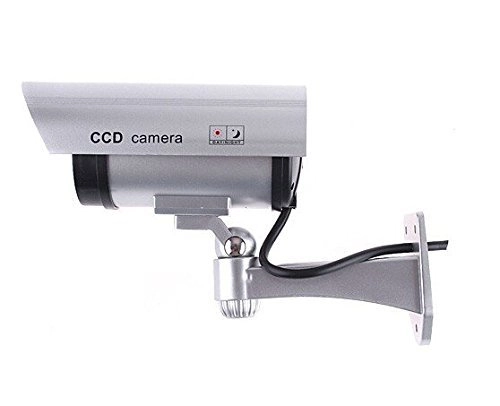 Dummy Camera - Indoor, Outdoor Bundle