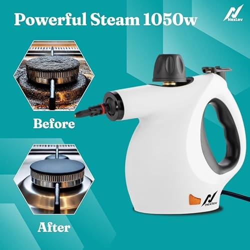 Shine Steam Cleaner - 450ML