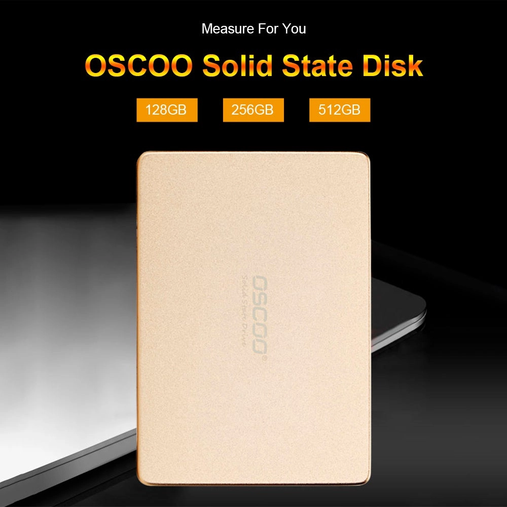 Solid State Disk - 256GB 2.5-inch