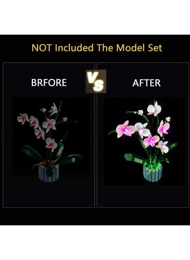 LED Light Kit - Creator Orchid Compatible with 10311