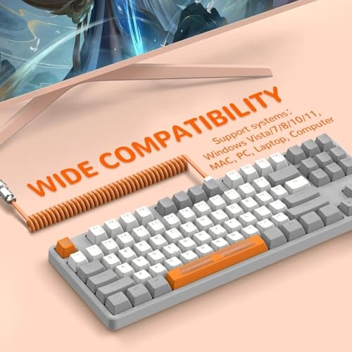 AK873 - 75% TKL Wired