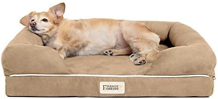 Friends Forever Orthopedic Dog Bed - 20 x 25" Memory-Foam
