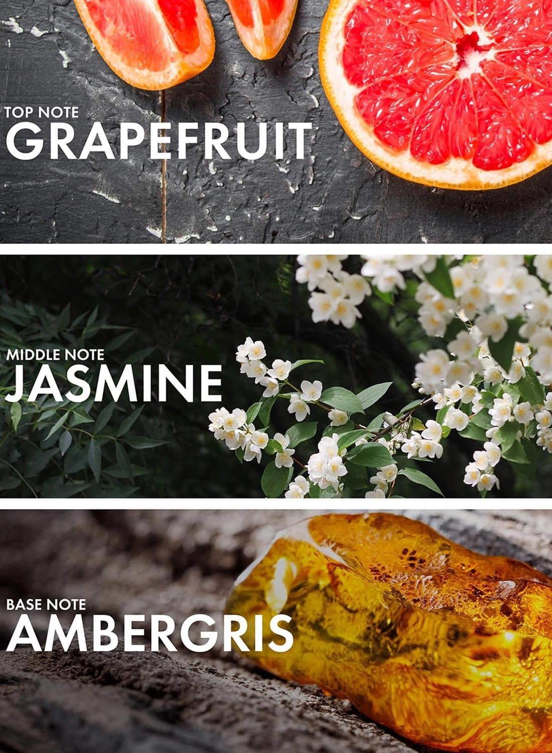 Grapefruit Patchouli Eau de Parfum 50 ml