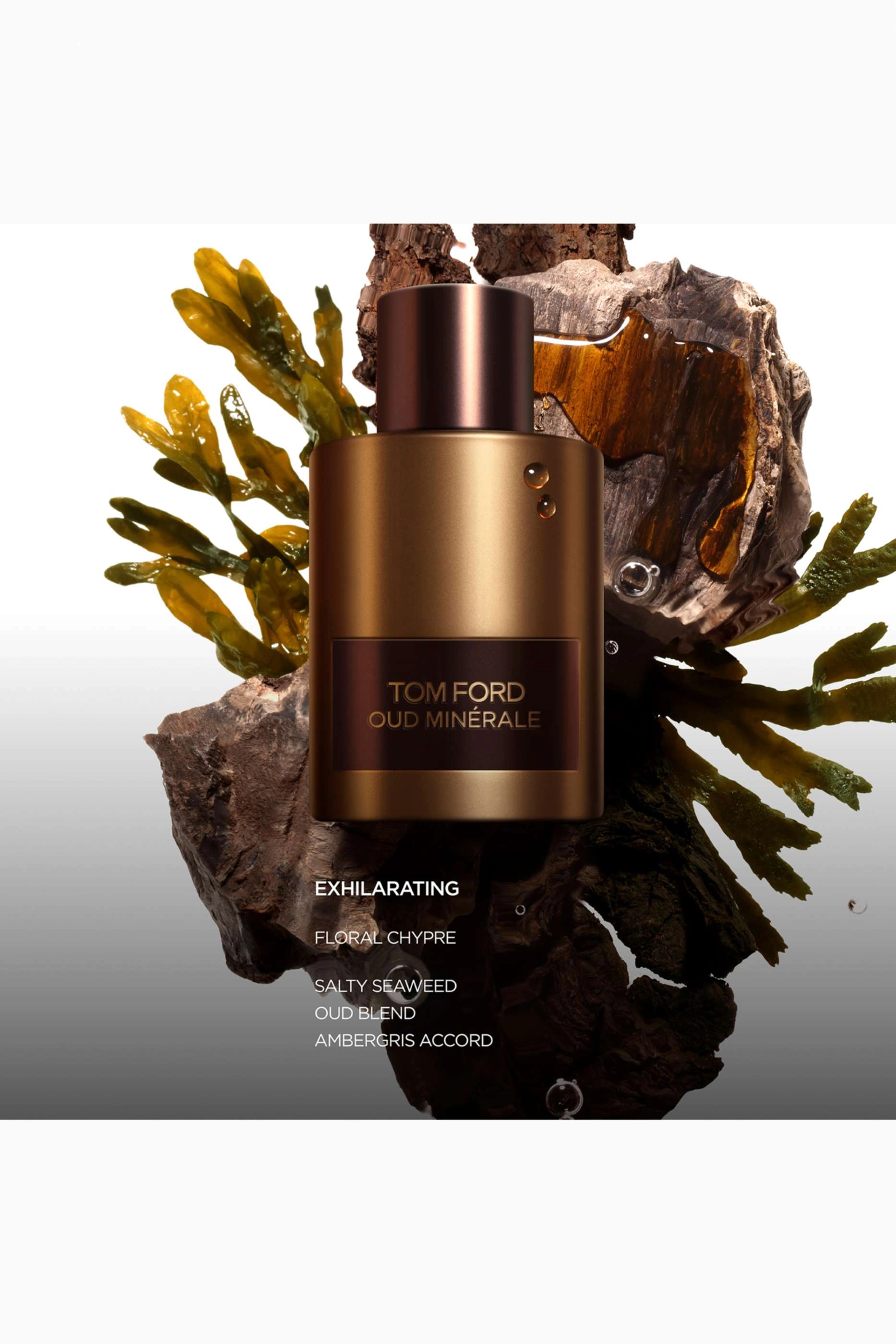 Oud Minérale Eau de Parfum 100ml