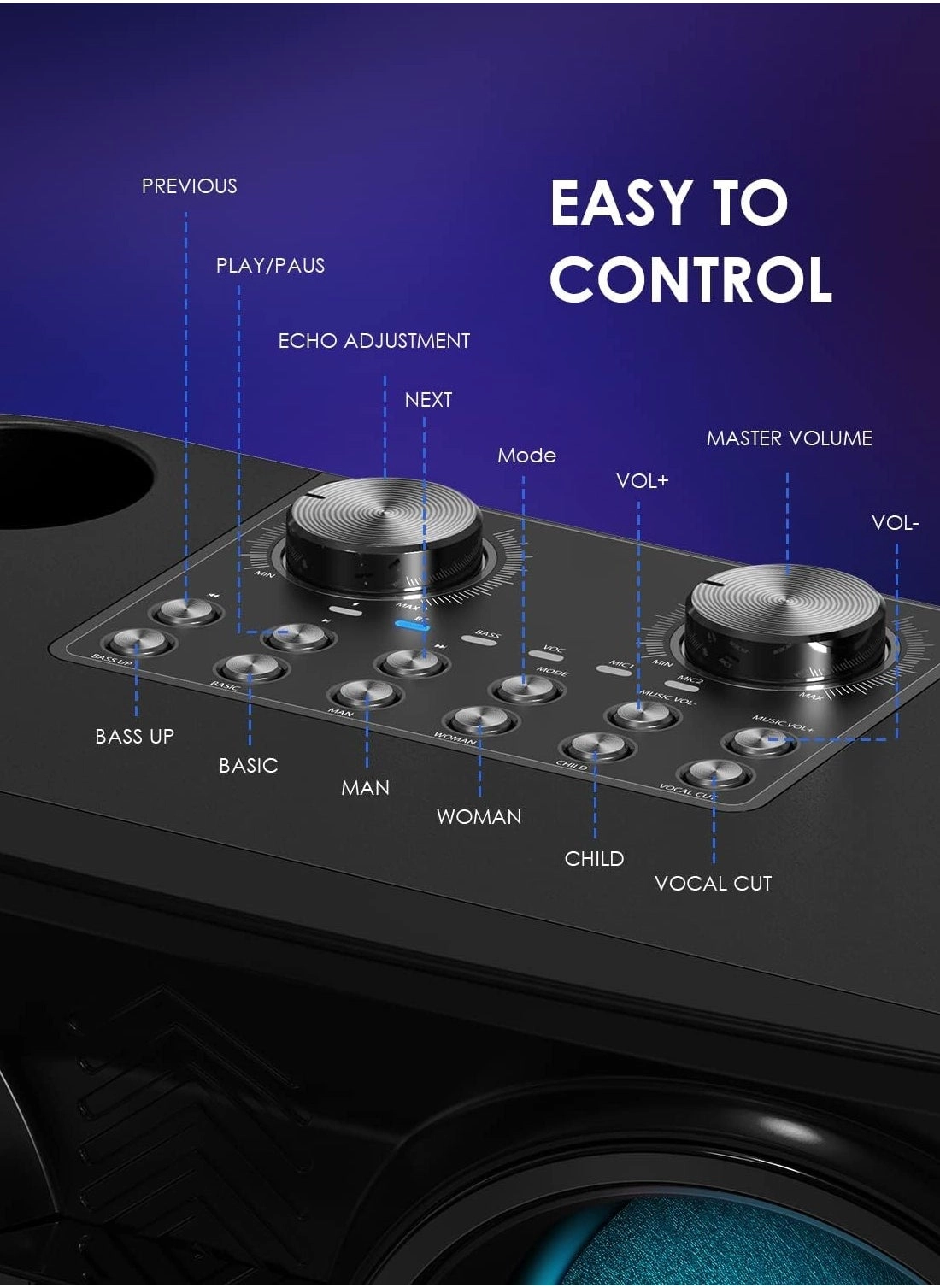 S39 PRO - 2 Wireless Microphones