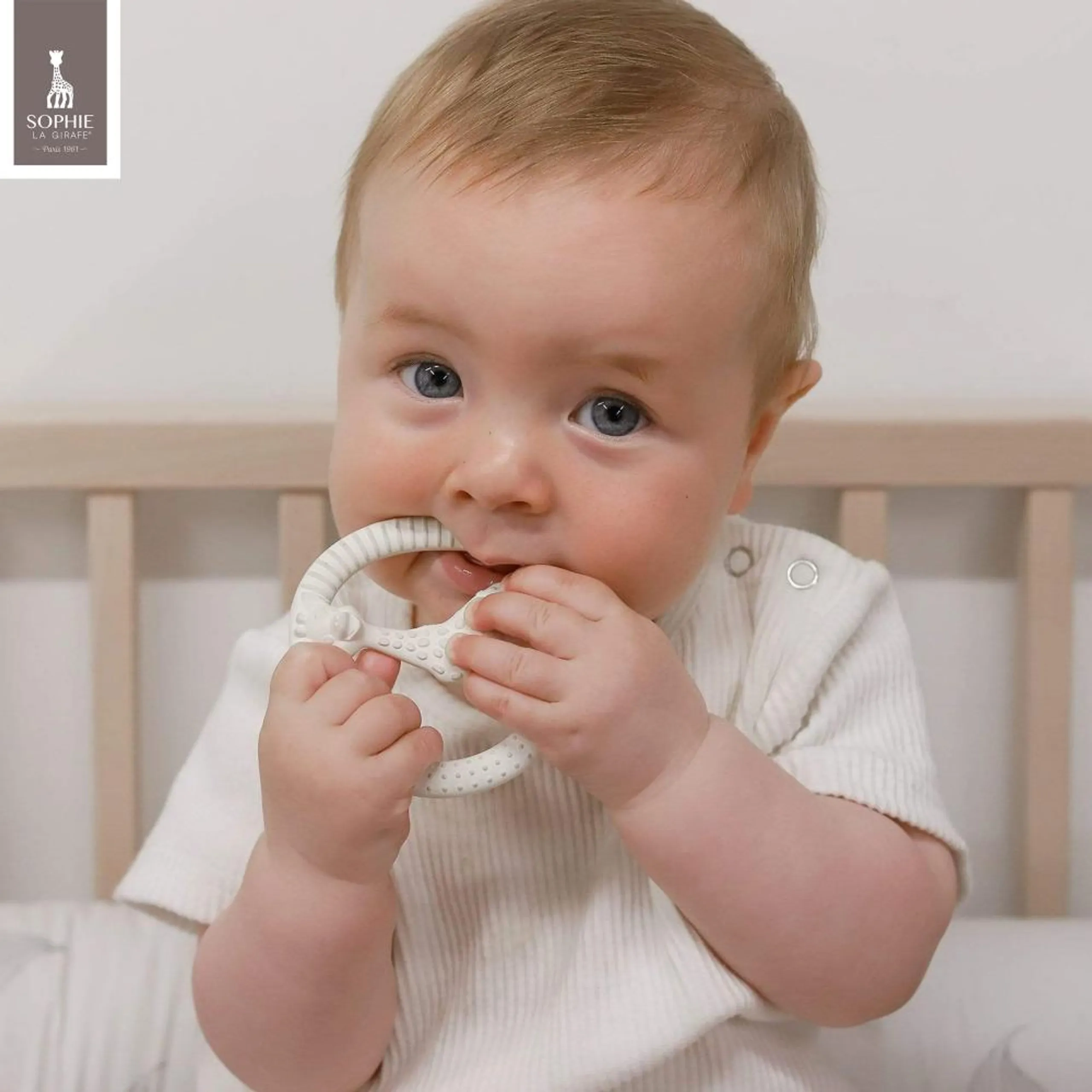 So'Pure Circle Teether - 100% natural rubber Multicolor