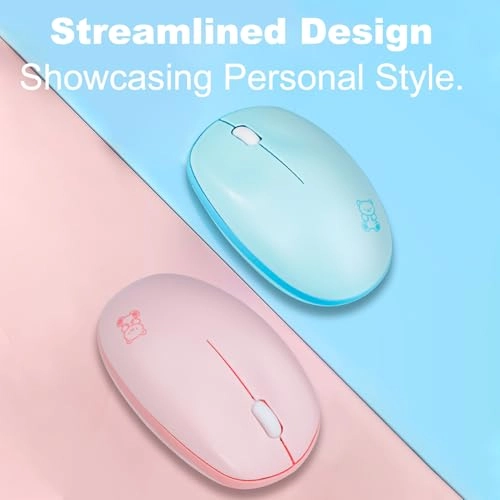 Wireless Mouse - 2.4G BT