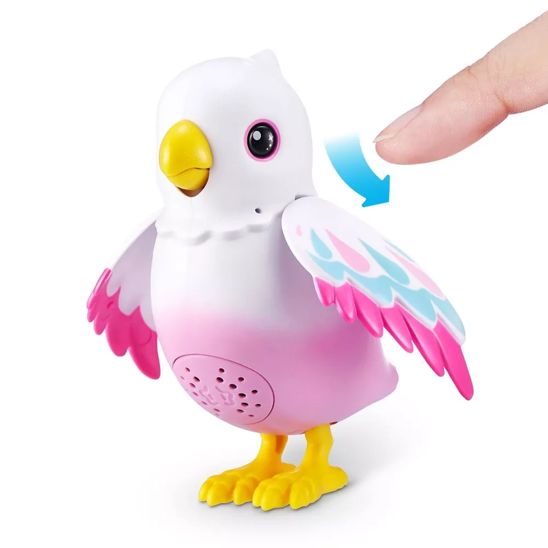 Polly The Magic Bird