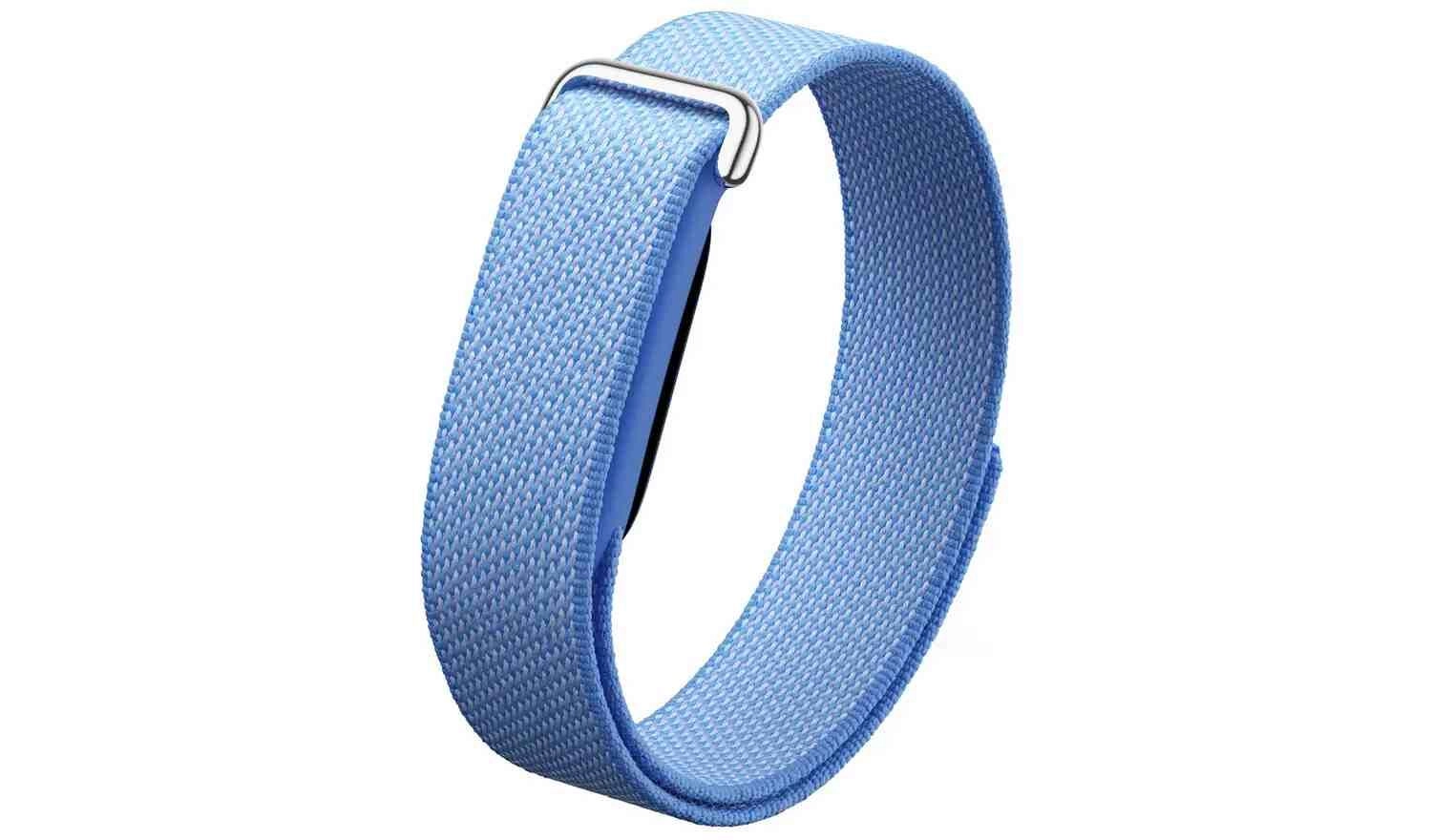 Google Fitbit Air