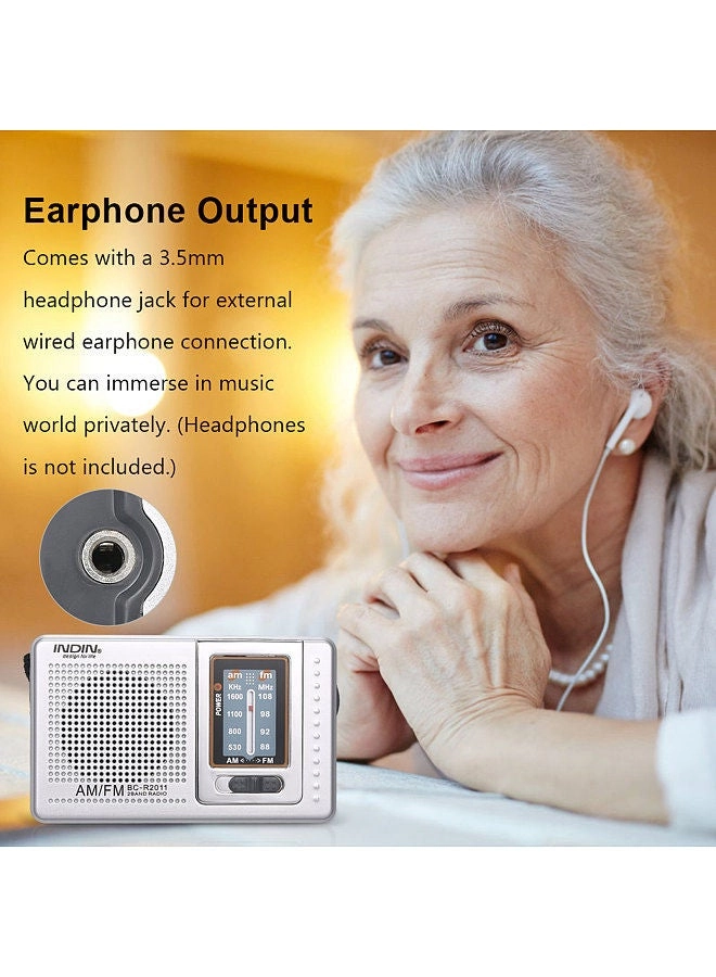 BC-R2011 - Mini AM FM