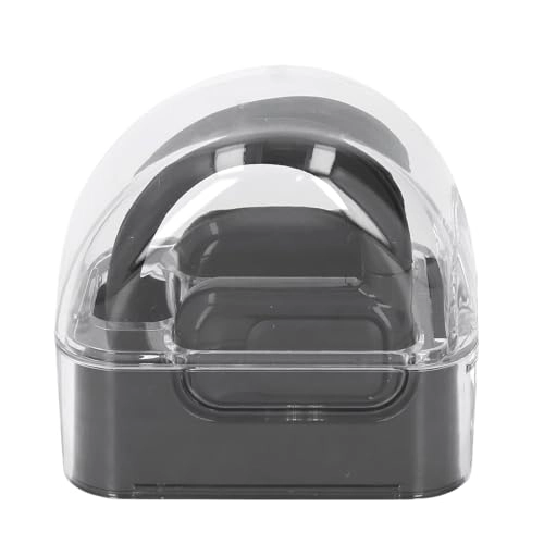 Translation Earphones