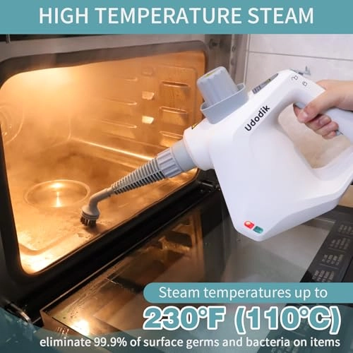 Handheld Steam Cleaner - 350 Milliliters