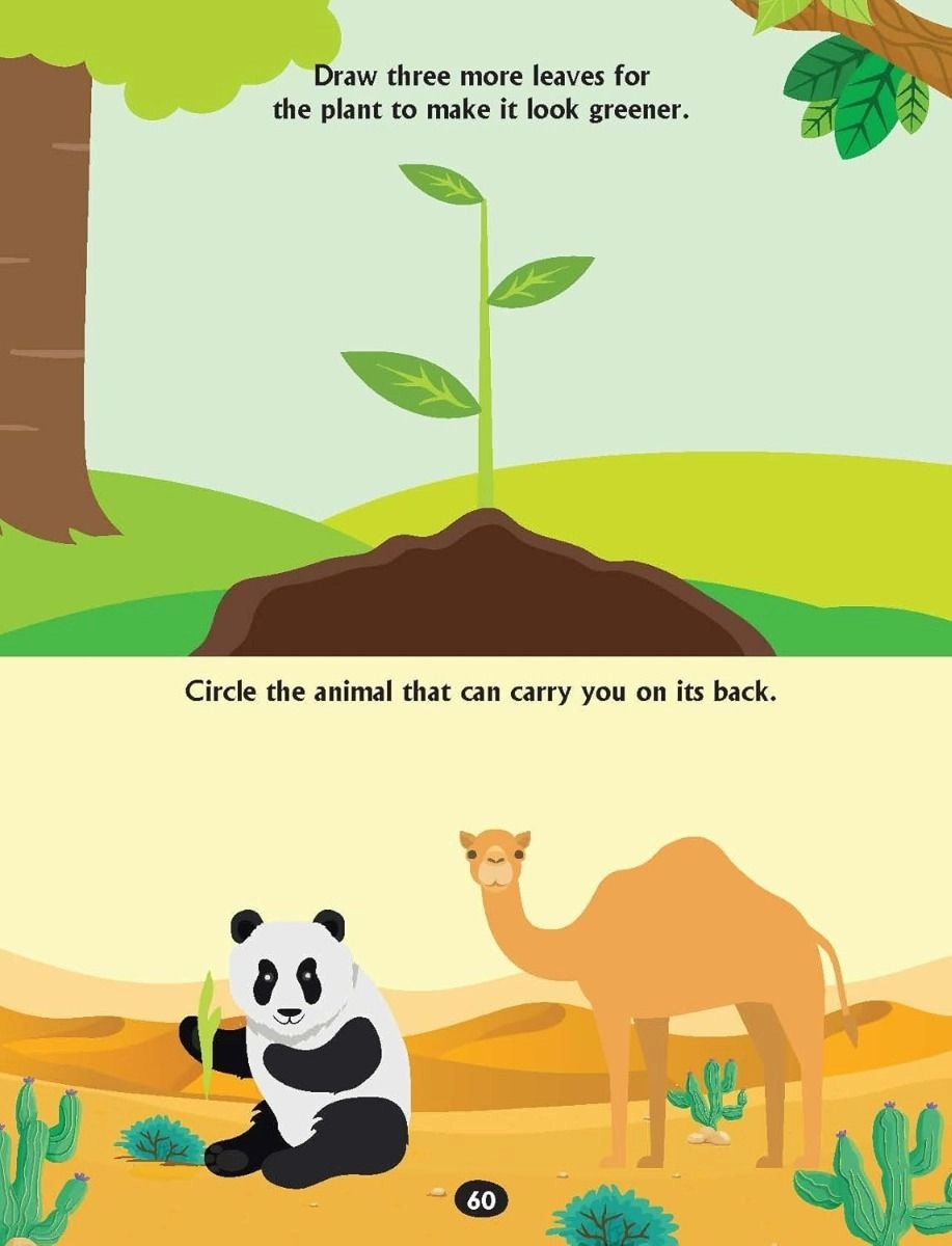 Maths Activity Books Pack - Ages 4-6