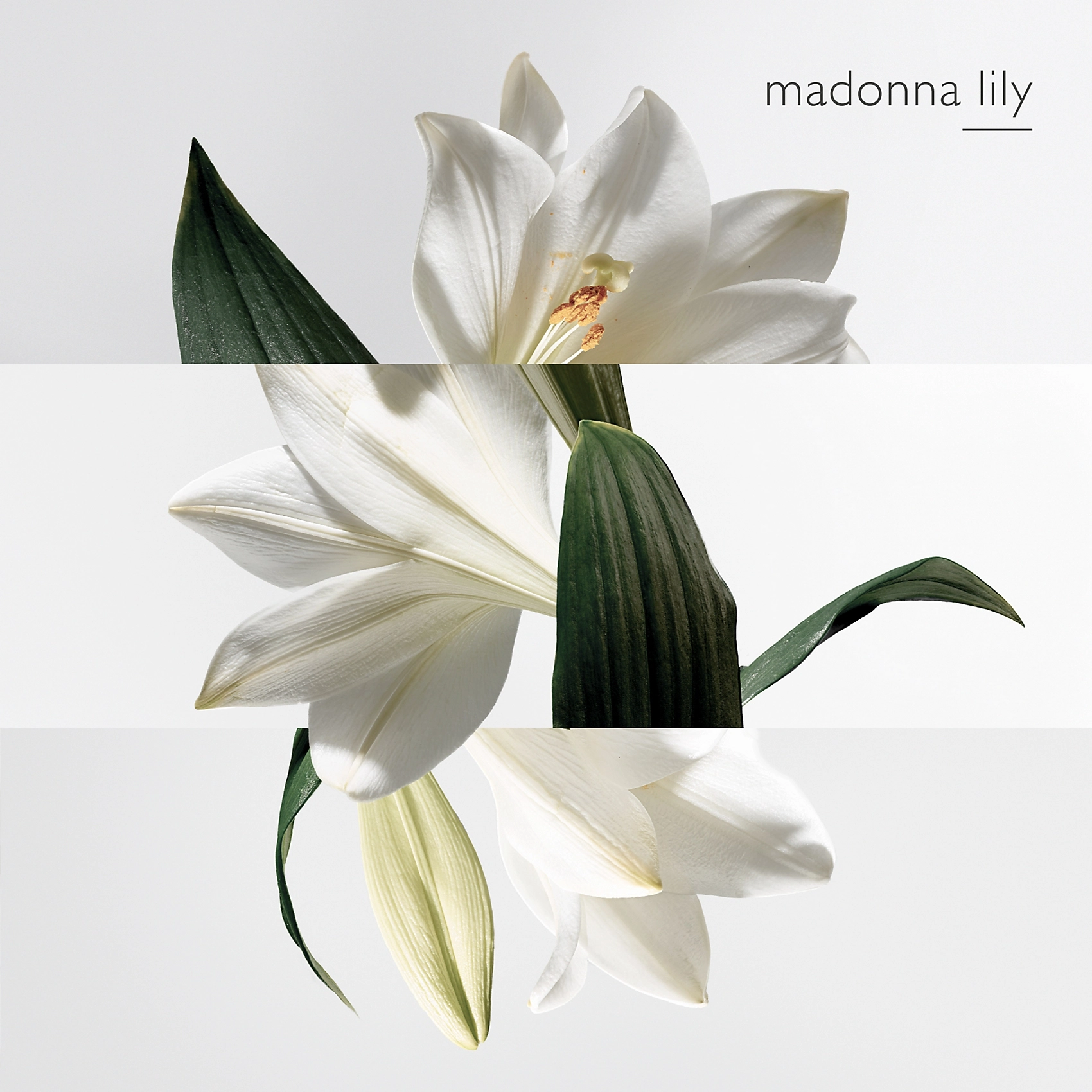 Un Jardin sur la Lagune Eau de Toilette 100ml