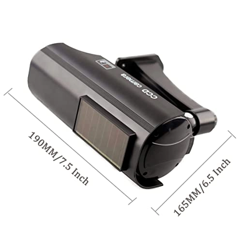 Dummy Camere - Indoor/Outdoor