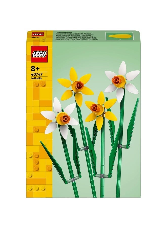 Daffodils (40747) - Multicolor Ages 8+