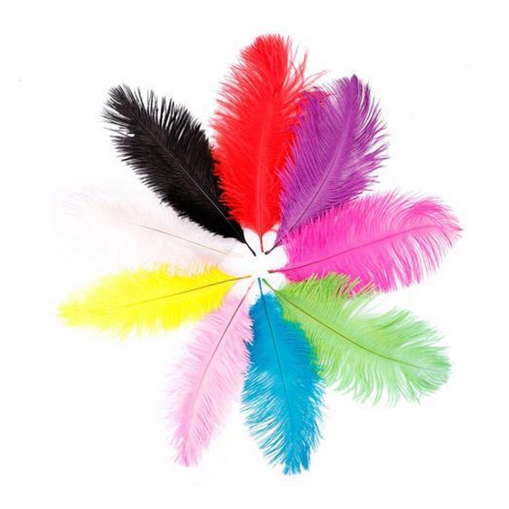Mindset Colorful Feather - 20pcs