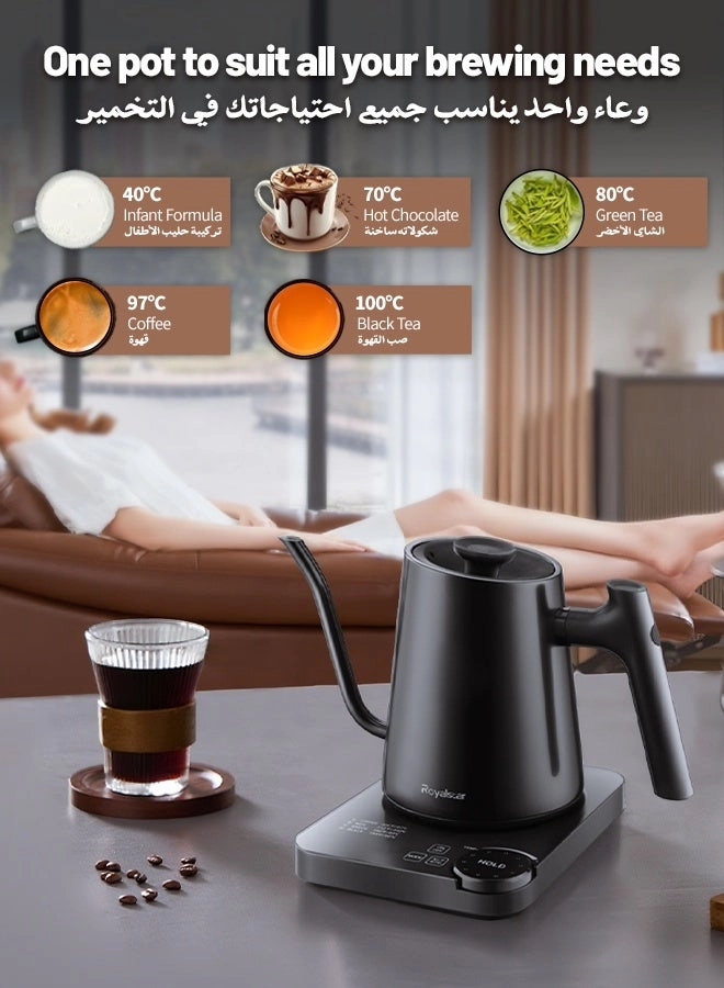 Temperature Control Gooseneck Electric Kettle