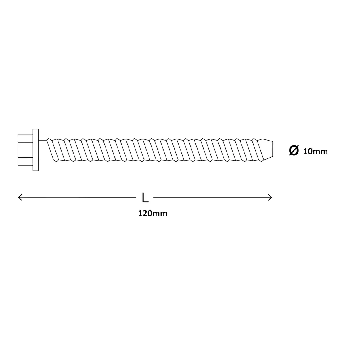 Steel Hex Concrete Screw Pack - 12 cm Dia. 1