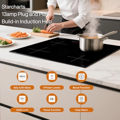 Plug-in Induction Hob